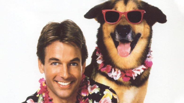 Summer School. The 80s movie that wasn’t a total drag!