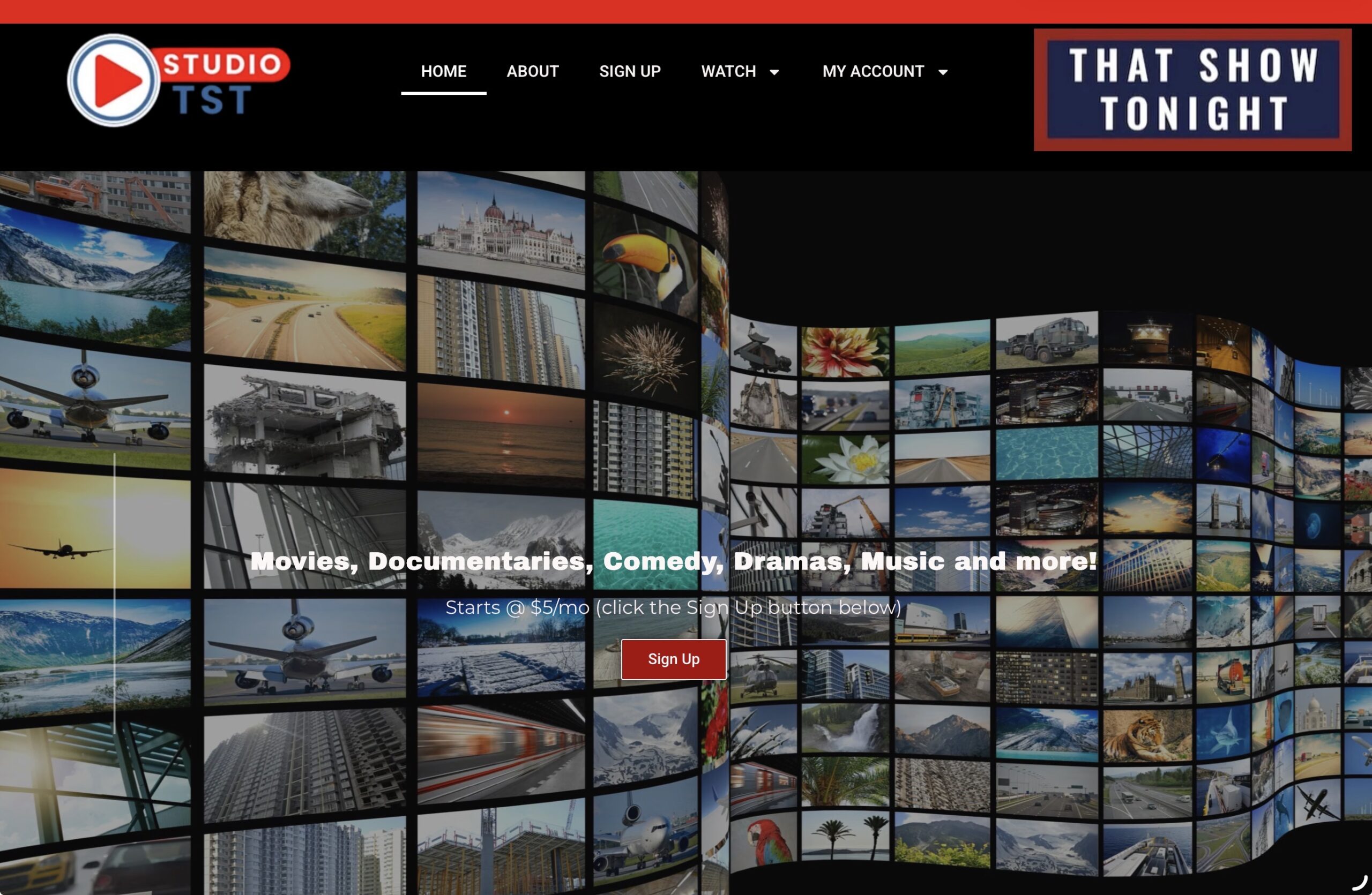 What’s New at StudioTST: Fall Lineup Preview